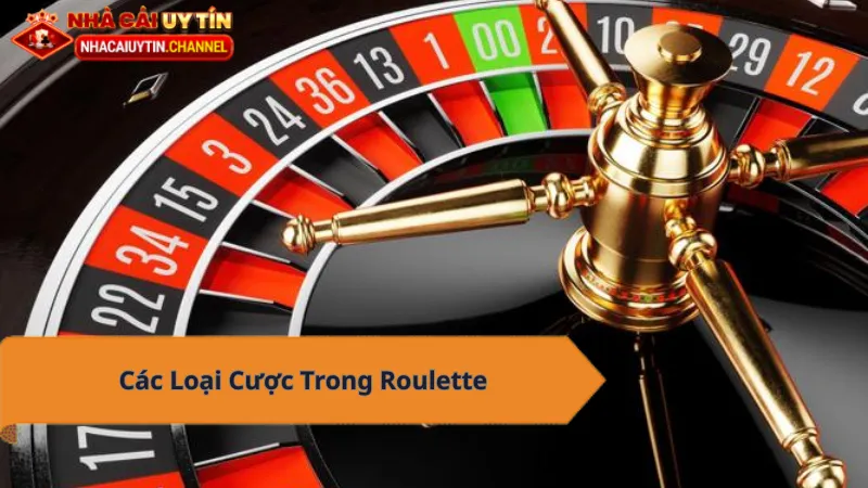Các loại cược trong Roulette - Hướng dẫn chi tiết