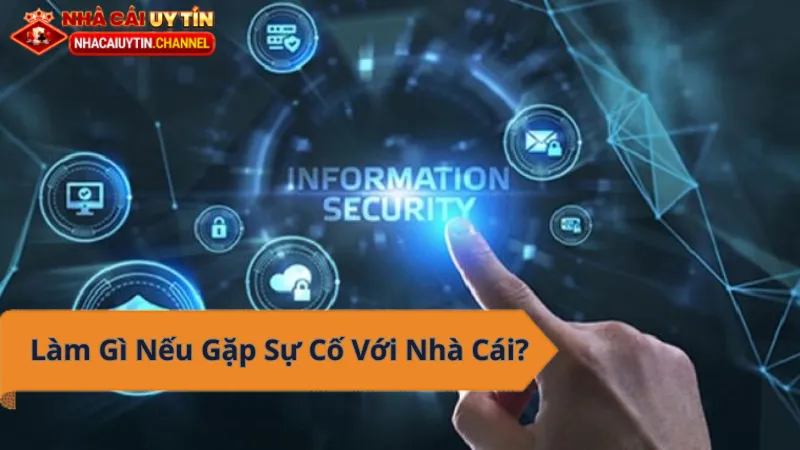 Sự cố nhà cái - Hướng dẫn xử lý chi tiết