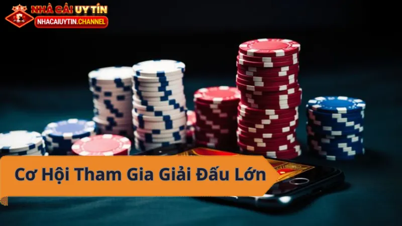 Kinh nghiệm chơi cá cược tại nhà cái uy tín - Thắng lớn