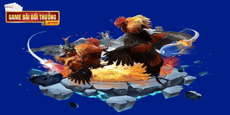 Sảnh đá gà cung cấp đa dạng các trận đấu cho bạn trải nghiệm