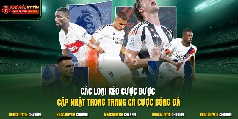 Các loại kèo cược được cập nhật trong trang cá cược bóng đá