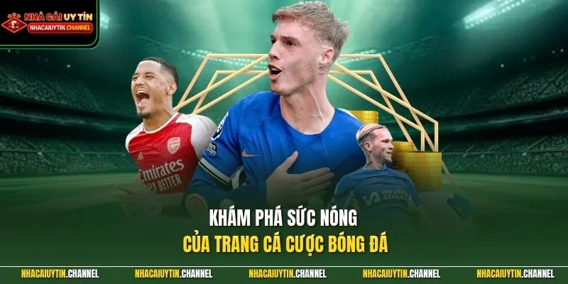 Khám phá sức nóng của trang cá cược bóng đá